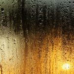 Mistænker du fugt i hjemmet?