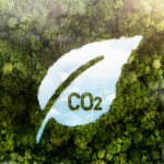 Derfor skal man investere i en CO2 alarm