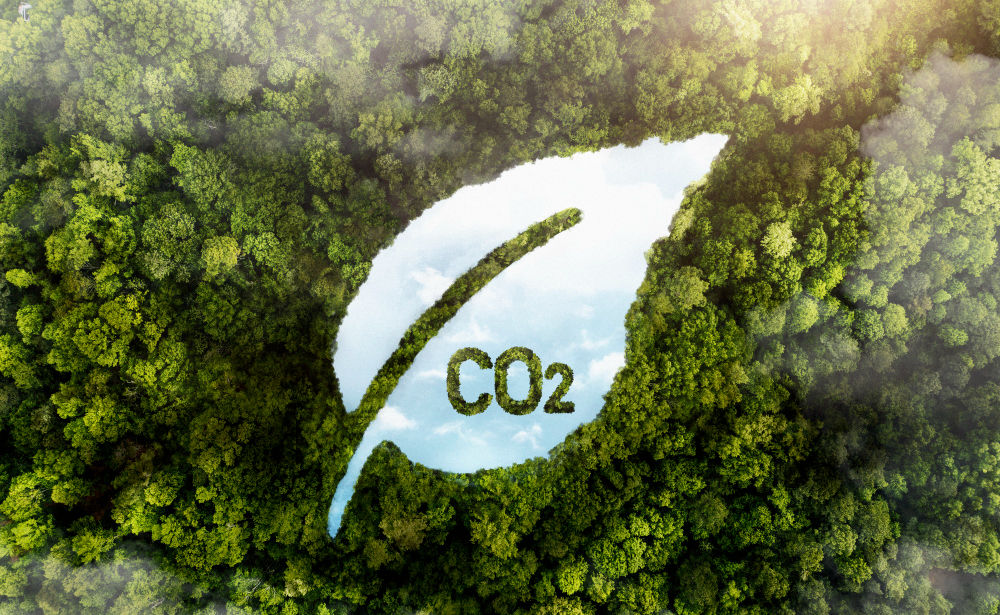 Derfor skal man investere i en CO2 alarm